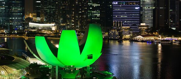 新加坡 - 俄罗斯卫星通讯社