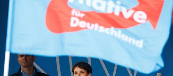 专家：德国选择党或在联邦议院选举中得到1成选票 - 俄罗斯卫星通讯社