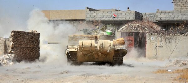 泰勒阿费尔 - 俄罗斯卫星通讯社