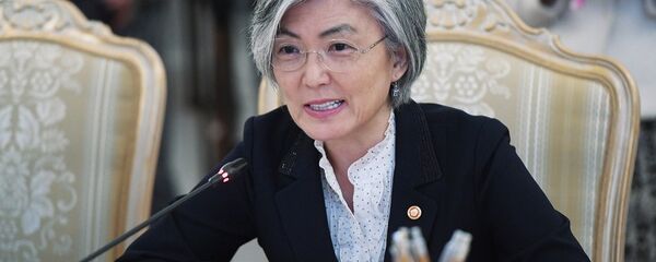 韩国外长向蒂勒森说明与朝鲜可能会谈中首尔的立场 - 俄罗斯卫星通讯社