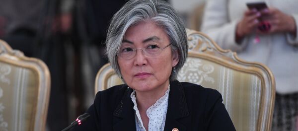 韩国外长康京和 - 俄罗斯卫星通讯社