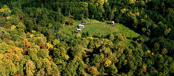 “军队-2017”论坛期间军方林业工作者展示通过头盔控制的无人机 - 俄罗斯卫星通讯社