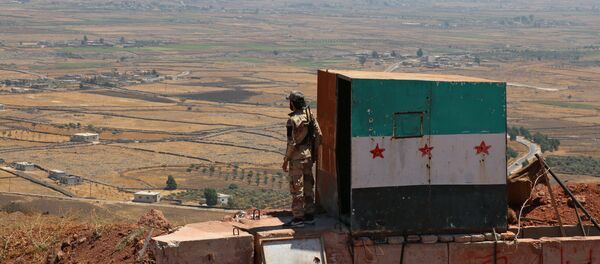 敘利亞境內的“伊斯蘭國”已被徹底擊敗 - 俄羅斯衛星通訊社