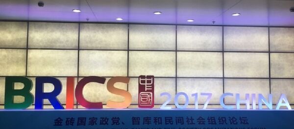 金砖国家 - 俄罗斯卫星通讯社