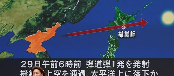 朝鲜 - 俄罗斯卫星通讯社