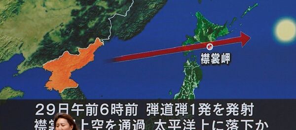 美国常驻联合国代表：美国期待与中俄就朝鲜问题共同展开工作 - 俄罗斯卫星通讯社