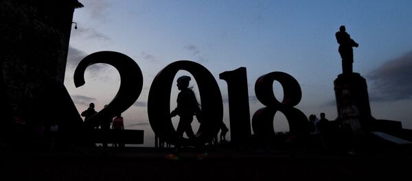 俄罗斯2018年世界杯 - 俄罗斯卫星通讯社