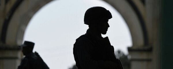 媒体：阿富汗强力人员消灭15名“伊斯兰国”武装分子 - 俄罗斯卫星通讯社