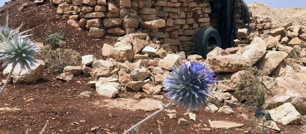 消息人士：敘政府軍恢復控制與約旦邊境上5座檢查站 - 俄羅斯衛星通訊社