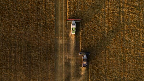 安倍：農業機器人可以全天候從事農業生產 - 俄羅斯衛星通訊社