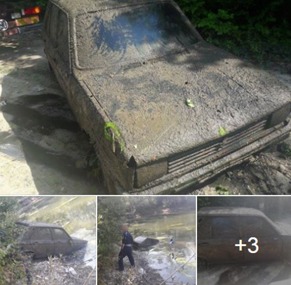 法國一輛近40年被盜的車現身池塘  - 俄羅斯衛星通訊社