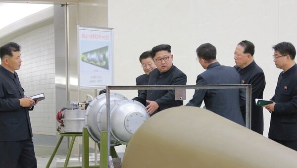 朝鲜领导人金正恩 - 俄罗斯卫星通讯社