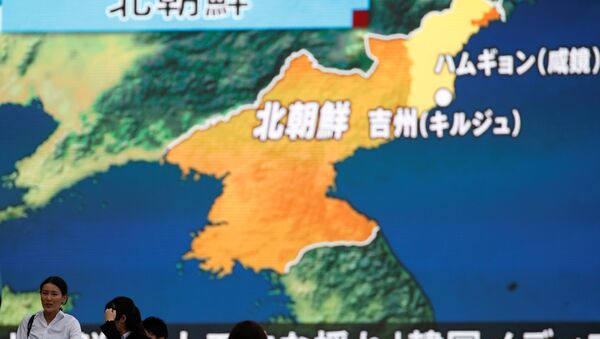 韩国愿在半岛无核化取得进展的情况下扩大对朝援助 - 俄罗斯卫星通讯社
