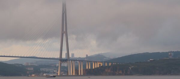 Владивосток Владивосток - 俄罗斯卫星通讯社
