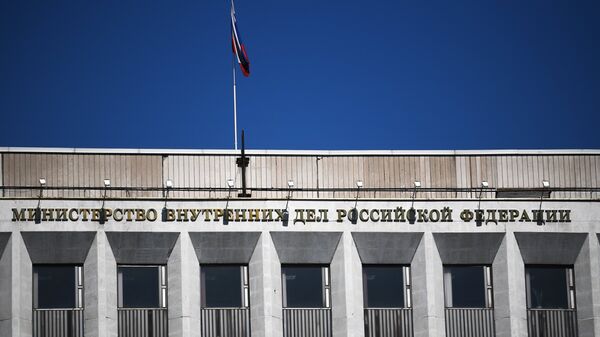俄內務部將暫停辦理入境俄羅斯的邀請函 - 俄羅斯衛星通訊社