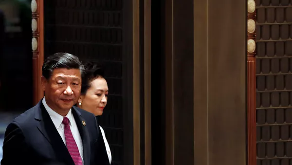習近平：金磚國家計劃深化政治安全合作 - 俄羅斯衛星通訊社