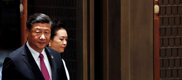 习近平:金砖国家计划深化政治安全合作 习近平:金砖国家计划深化政治安全合作 - 俄罗斯卫星通讯社