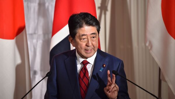 日本首相呼吁国际社会对朝鲜施加最大压力 - 俄罗斯卫星通讯社