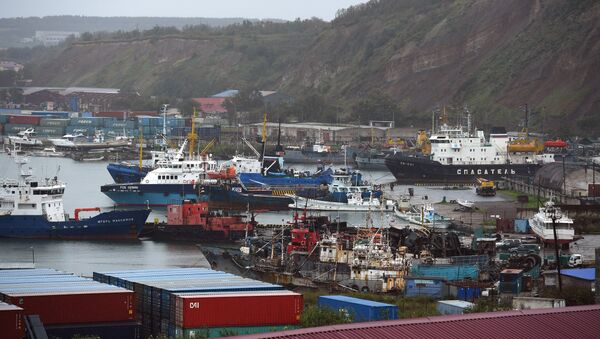 俄萨哈林岛附近搁浅的干货船原定从日本驶往霍尔姆斯克港 - 俄罗斯卫星通讯社