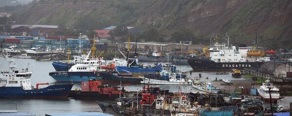 俄远东中国投资支持中心将简化中国商人工作 - 俄罗斯卫星通讯社