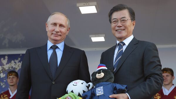 韩国总统赠送普京玩具虎和熊 - 俄罗斯卫星通讯社
