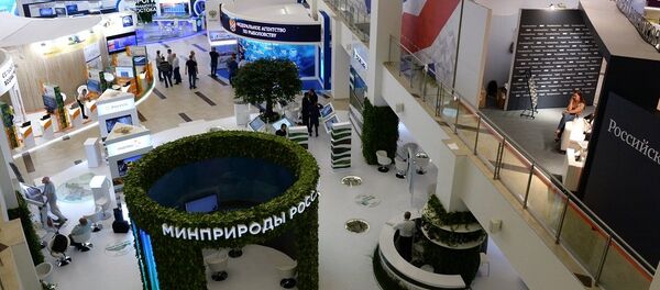 东方经济论坛 - 俄罗斯卫星通讯社