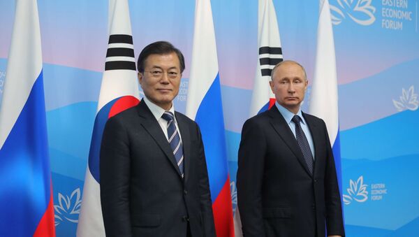 普京表示计划于今年6月同韩总统讨论朝鲜半岛局势 - 俄罗斯卫星通讯社