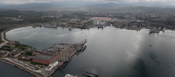 符拉迪沃斯托克 - 俄羅斯衛星通訊社