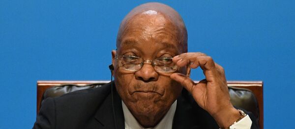 Президент Южно-Африканской Республики (ЮАР) Джейкоб Зума - 俄羅斯衛星通訊社