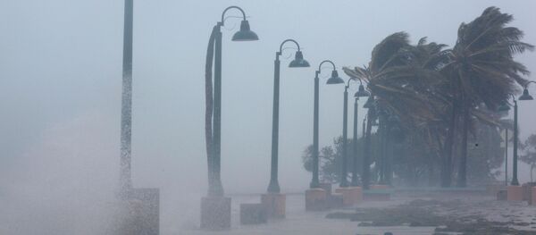 “伊尔玛”已升级为5级飓风 - 俄罗斯卫星通讯社