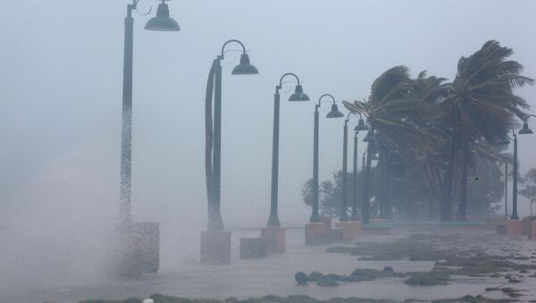 多米尼克总理称本国遭飓风“玛丽亚”大规模破坏 - 俄罗斯卫星通讯社