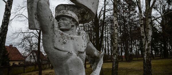 民调：大多数波兰人感激苏联红军帮助解放波兰 - 俄罗斯卫星通讯社