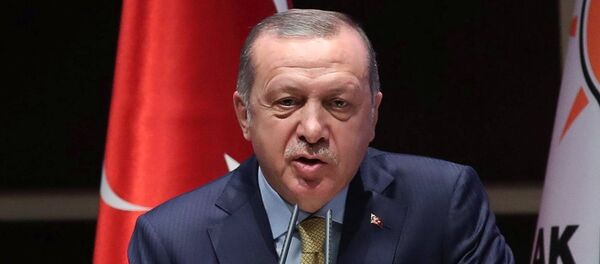 土耳其总统埃尔多安 - 俄罗斯卫星通讯社