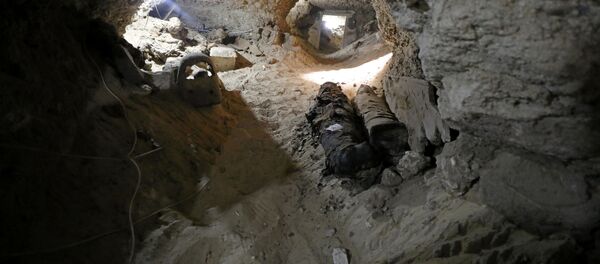 埃及考古學家在盧克索發現3500年前的古墓和木乃伊 埃及考古學家在盧克索發現3500年前的古墓和木乃伊 - 俄羅斯衛星通訊社