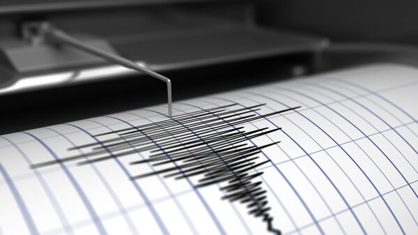 新疆伊犁州鞏留縣發生4.8級地震 - 俄羅斯衛星通訊社