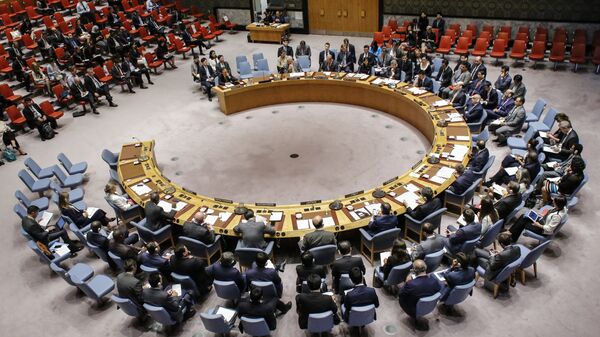 俄常驻联合国副代表: 外部势力对苏丹民众施加不受欢迎的决定 - 俄罗斯卫星通讯社