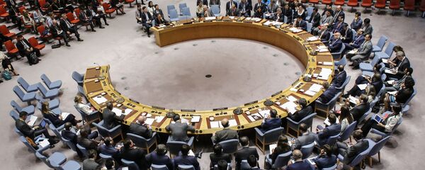 联合国安理会 - 俄罗斯卫星通讯社