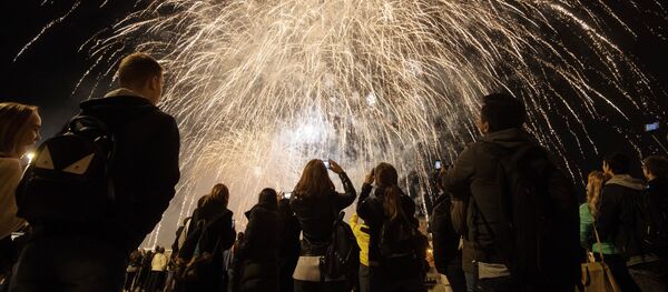 芬兰公民建议在全国全面禁止烟花 - 俄罗斯卫星通讯社