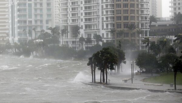 美國10萬多人因“納特”颶風遭遇停電 - 俄羅斯衛星通訊社