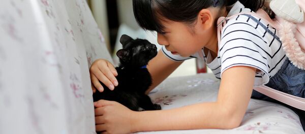 你不在家猫怎么办？日本推出铲屎官服务平台 - 俄罗斯卫星通讯社