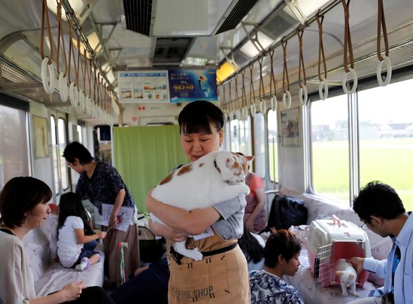 猫咪列车咖啡馆的一名合伙人，日本大恒市。 - 俄罗斯卫星通讯社