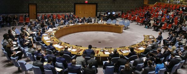 俄常驻联合国副代表：俄方已将波斯湾集体安全构想提交给联合国 - 俄罗斯卫星通讯社