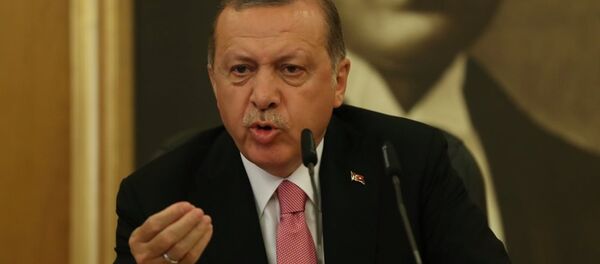 埃尔多安 埃尔多安 - 俄罗斯卫星通讯社