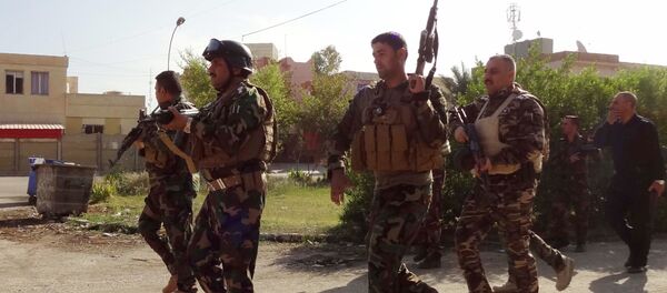 伊拉克库尔德自由斗士 - 俄罗斯卫星通讯社