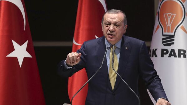 土耳其總統：在土耳其有“新的國家政變”企圖 - 俄羅斯衛星通訊社