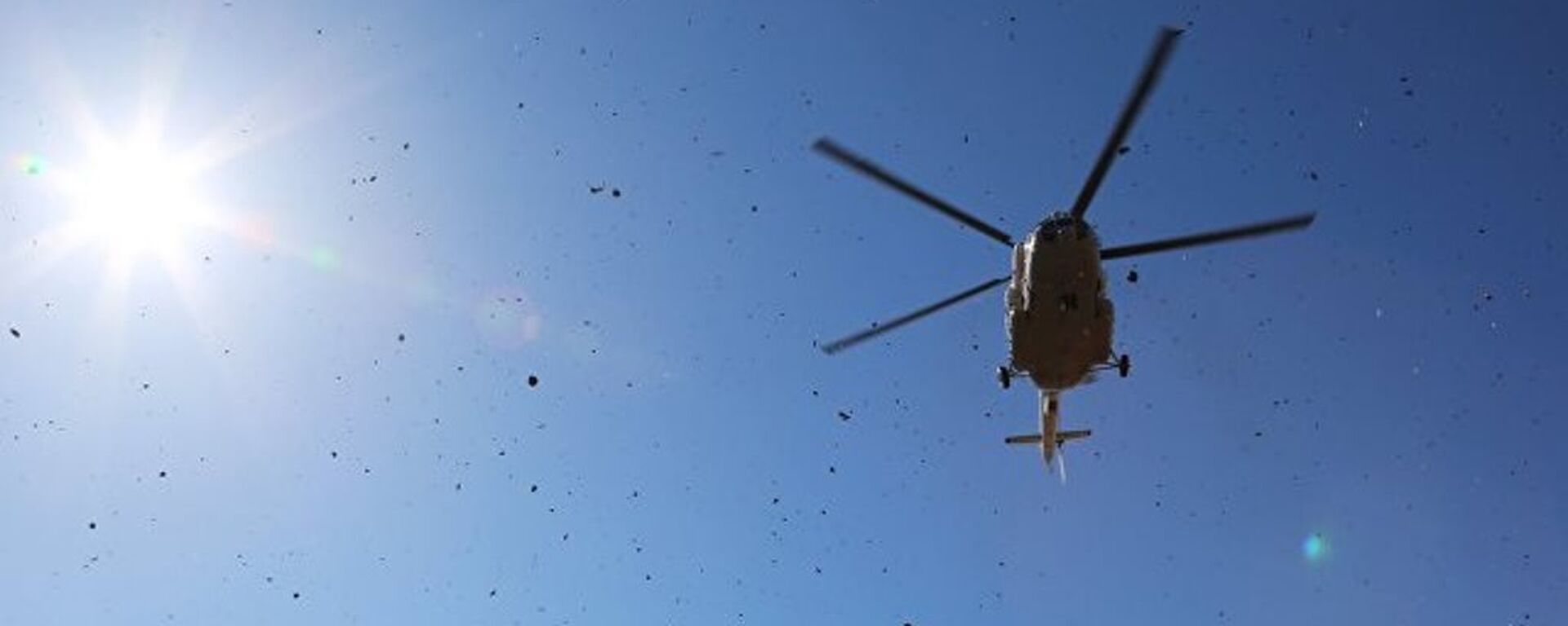 尼泊爾文化部長乘坐的直升機在該國東部墜毀 - 俄羅斯衛星通訊社, 1920, 27.02.2019