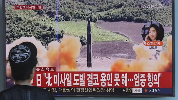 专家：朝鲜以氢弹试验回应特朗普讲话的可能性近于零 - 俄罗斯卫星通讯社