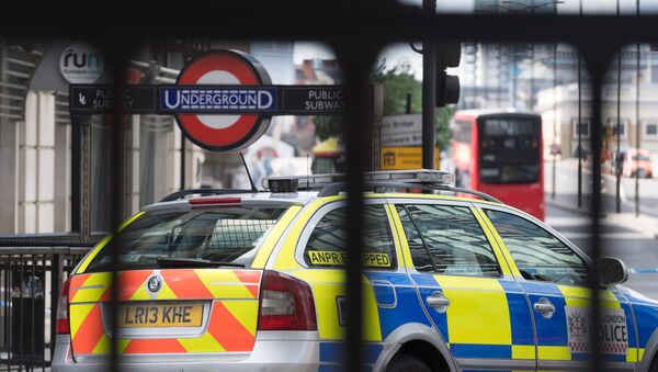 伦敦警方近几个月阻止6起恐袭 - 俄罗斯卫星通讯社