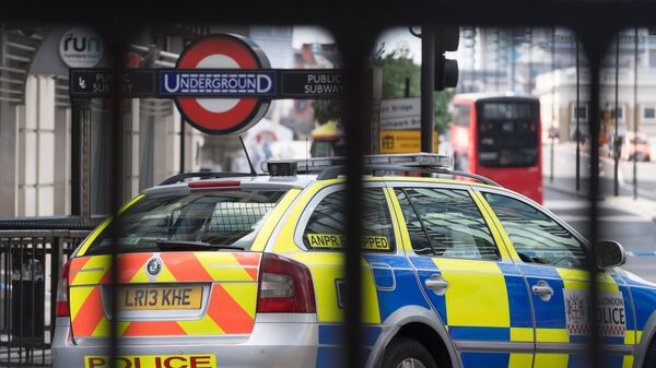 媒体：英国计划组建保护基础设施的卫队 - 俄罗斯卫星通讯社