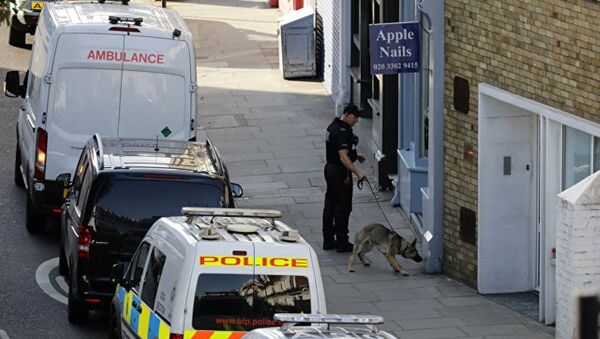 英国警方称伦敦地铁的爆炸由自制炸弹引起 - 俄罗斯卫星通讯社